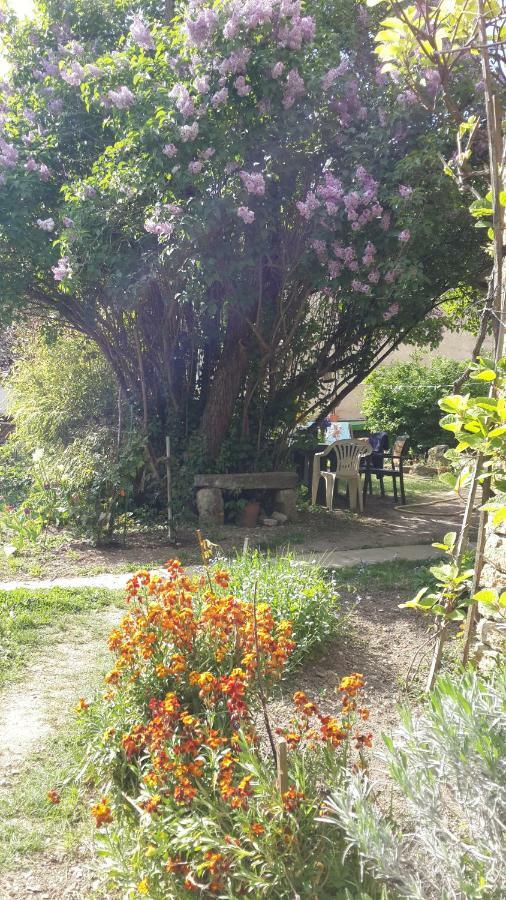 奥尼罗斯住宿加早餐旅馆 Neuffontaines 外观 照片